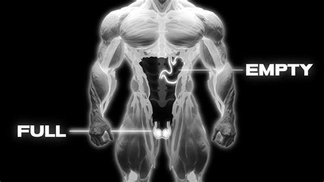 'gay empty balls' Search