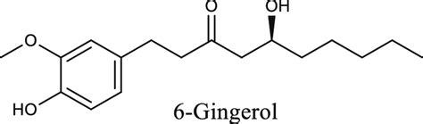 (6) Gingerol - an overview | ScienceDirect Topics - muktibox.com