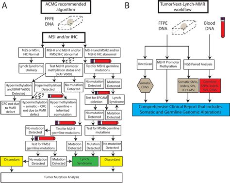 (A) Representation of the suggested ACMG algorithm for Lynch syndrome