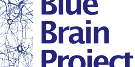 (Blue) Brain and Beauty - IEEE Spectrum