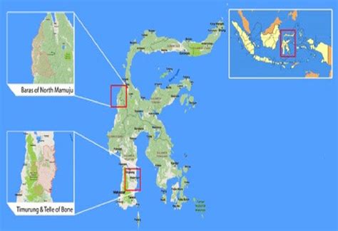 (DOC) Bugis Migration - Academia.edu - wintechmobiles.com