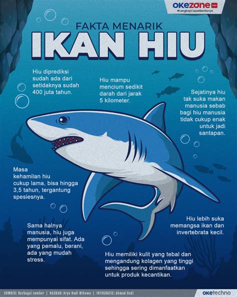 (DOC) Ikan Hiu - Academia.edu - raincitystudios.com
