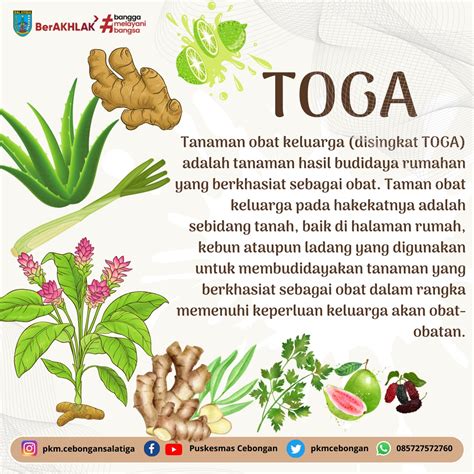 (DOC) Tanaman Obat Keluarga (TOGA) - Academia.edu - raincitystudios.com