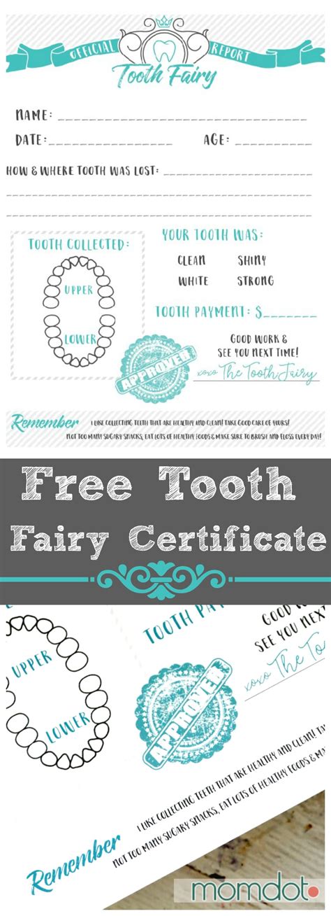 (FREE) Tooth Fairy Certificate Printable! MomDot