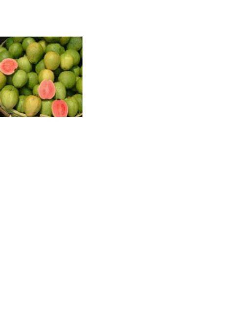 (PDF) 2. Guava - ResearchGate - raincitystudios.com
