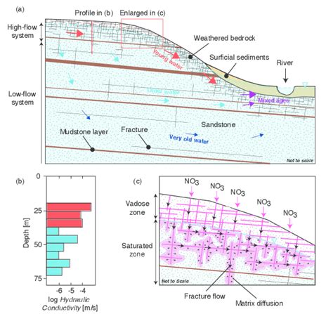 (PDF) A conceptual model of shallow groundwater flow in limestone ... - wintechmobiles.com