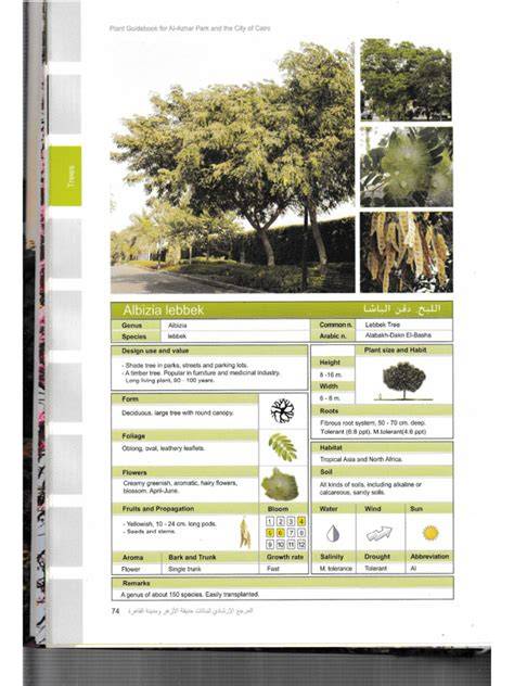 (PDF) Albizia lebbeck - ResearchGate - raincitystudios.com