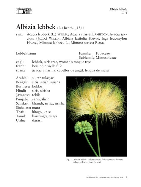 (PDF) Albizia lebbek - ResearchGate - raincitystudios.com