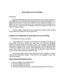 (PDF) BACKYARD CATTLE FATTENING - Academia.edu - raincitystudios.com