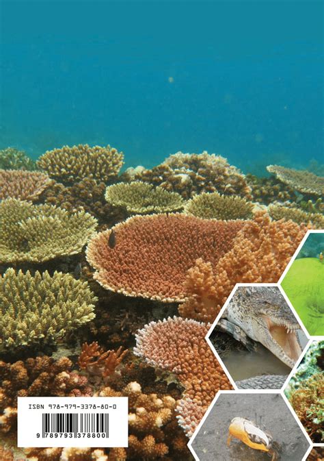 (PDF) Biodiversitas Biota Laut Indonesia - ResearchGate - raincitystudios.com