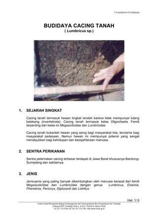 (PDF) BUDIDAYA CACING TANAH - Academia.edu - raincitystudios.com