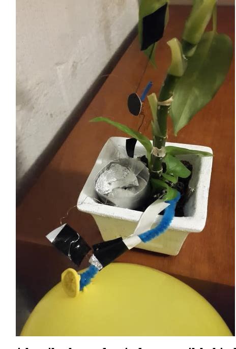 (PDF) Battery Pot Plants with Magnets and Adjacent Balloon as ...