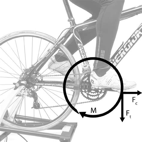 (PDF) Biomechanics of Cycling - ResearchGate