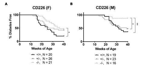 (PDF) CD226 Deletion Reduces Type 1 Diabetes in the NOD …