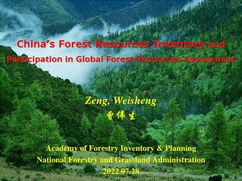 (PDF) China's Forest Resources Inventory and - raincitystudios.com