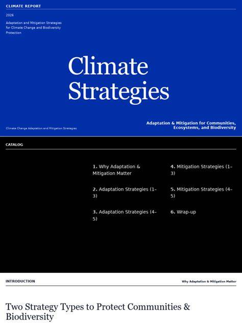 (PDF) Climate Adaptation and Mitigation Strategies - ResearchGate - raincitystudios.com