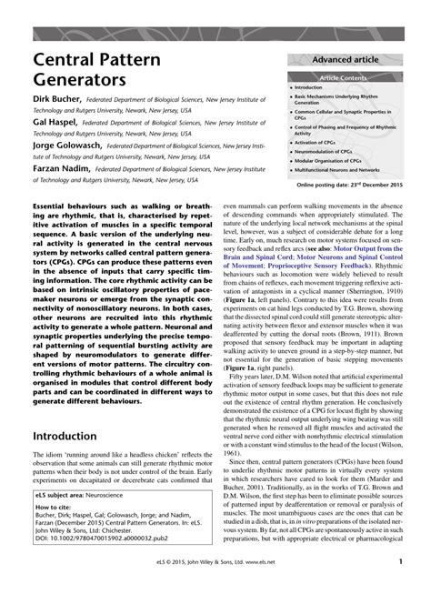(PDF) Central Pattern Generator