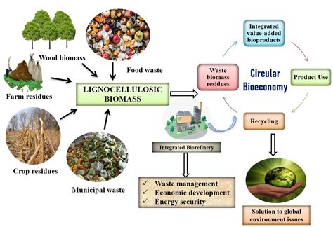 (PDF) Challenges in bioethanol production: Utilization …