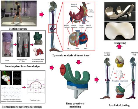 (PDF) Computational modeling of the biomechanics and