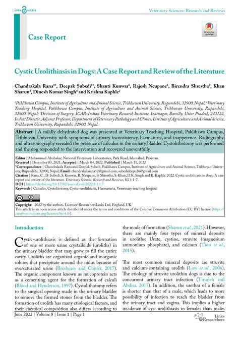 (PDF) Cystic Urolithiasis in Dogs: A Case Report and Review of the ...