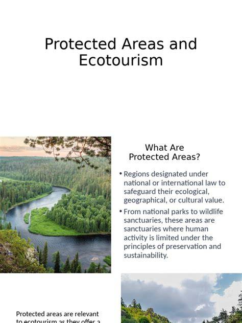 (PDF) Ecotourism in protected areas chances and threats - raincitystudios.com
