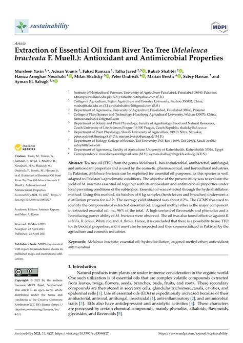 (PDF) Extraction of Essential Oil from River Tea Tree (Melaleuca ... - raincitystudios.com