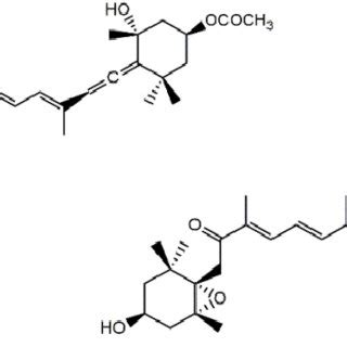 (PDF) Efecto neuroprotector de fucoxantina extraída a partir de ...