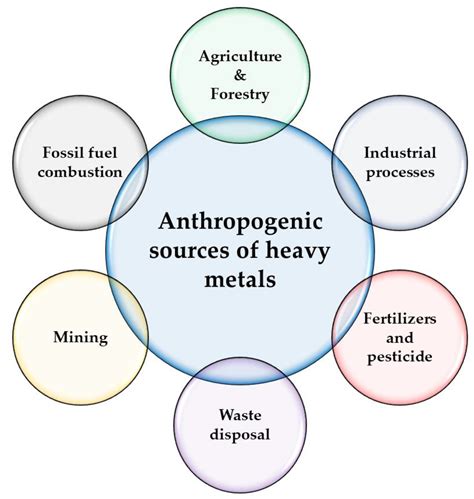 (PDF) Effects of Heavy Metals on Soil, Plants, Human