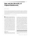 (PDF) Figs and the Diversity of Tropical Rainforests - raincitystudios.com