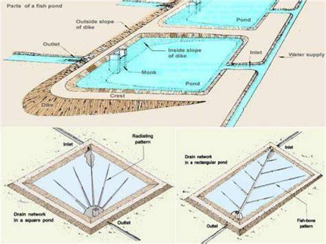 (PDF) FISH FARM DESIGN AND POND … - raincitystudios.com