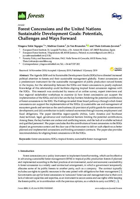 (PDF) Forest Concessions and the United Nations - raincitystudios.com