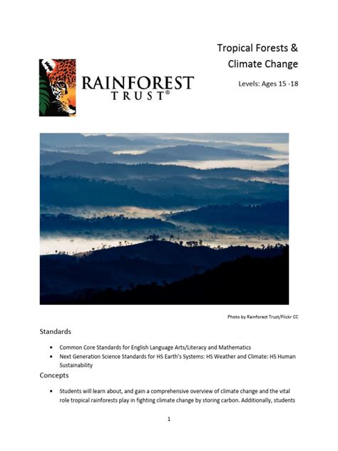(PDF) Forests, climate change and tourism - raincitystudios.com