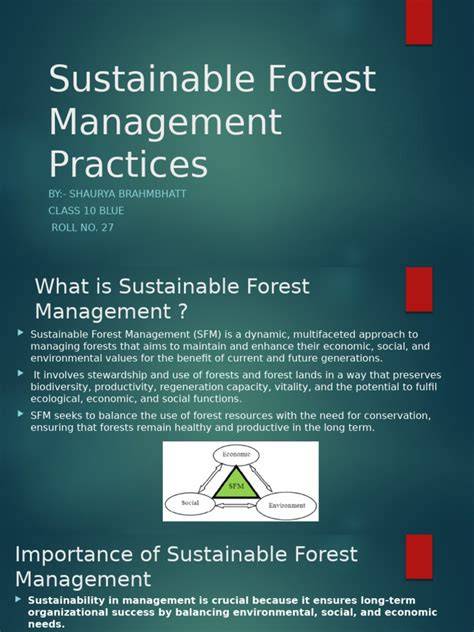 (PDF) Forests and Forest Management Practices in … - raincitystudios.com