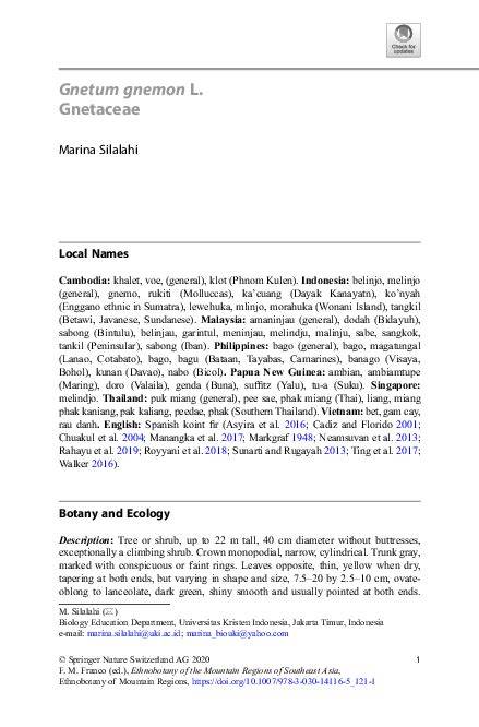 (PDF) Gnetum gnemon L. Gnetaceae - ResearchGate - raincitystudios.com