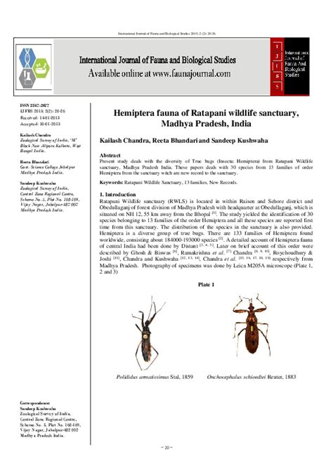 (PDF) HEMIPTERA: INSECTA OF TALLE WILDLIFE SANCTUARY