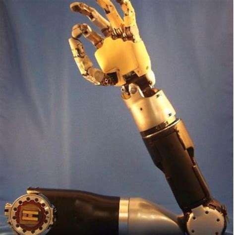 (PDF) Human Hand Prosthesis - ResearchGate