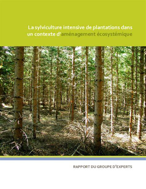 (PDF) IMPACT OF INTENSIVE SYLVICULTURE … - raincitystudios.com