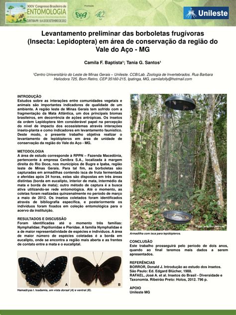 (PDF) Levantamento preliminar das borboletas (Lepidoptera ...