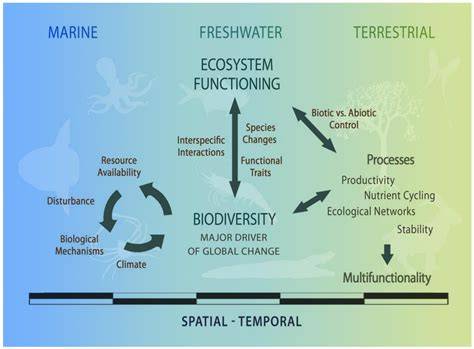 (PDF) Marine Biodiversity and Ecosystem Functioning - raincitystudios.com