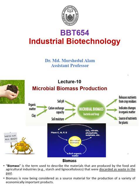 (PDF) Microbial Biomass - ResearchGate - raincitystudios.com