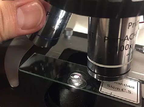 (PDF) Microscope Immersion Oil - ResearchGate