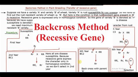 (PDF) Modified backcross breeding method for …