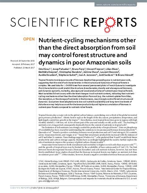 (PDF) Nutrient Cycling and Availability in Forest Soils - raincitystudios.com