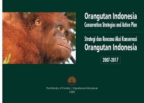 (PDF) Orangutan Conservation Strategies and Action Plan - raincitystudios.com