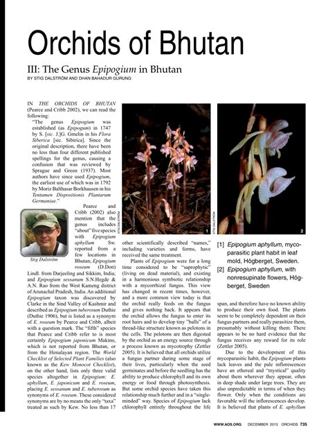 (PDF) Orchids of Bhutan: The Genus Epipogium in Bhutan