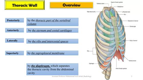 codini.rgarabwor.edu.pl. 