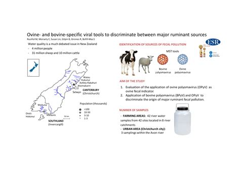 (PDF) Ovine- and bovine-specific viral tools to discriminate …