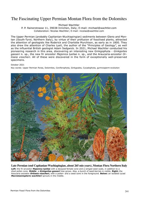(PDF) Permian Fossil Flora from the Dolomites The - raincitystudios.com
