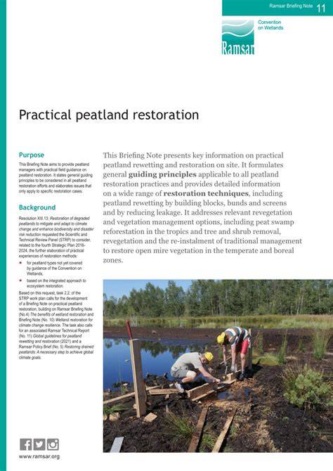 (PDF) Practical peatland restoration - ResearchGate - raincitystudios.com