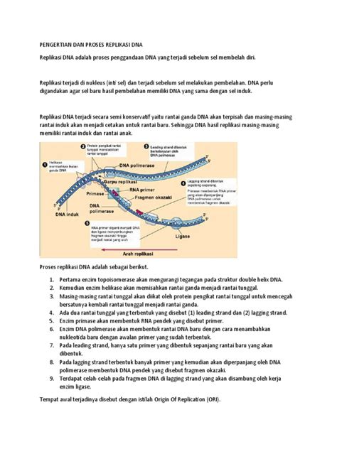 (PDF) Proses Elekroforesis DNA - Academia.edu - muktibox.com